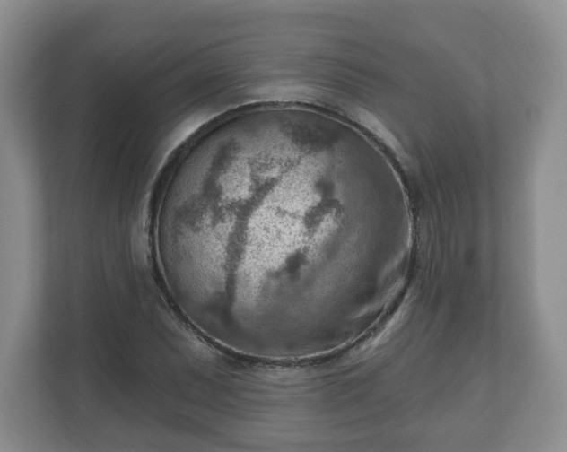 X0000111041071200907021553