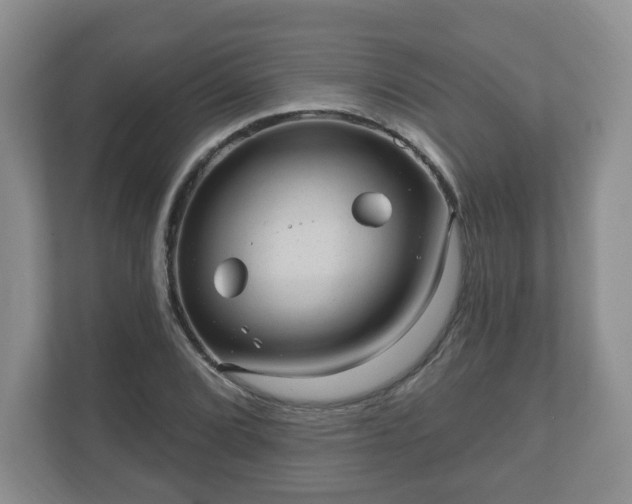 X0000111041072200907021553