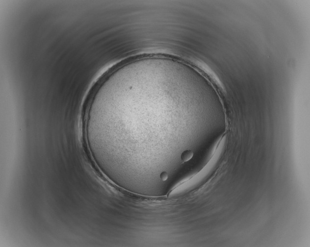 X0000111041076200907021553