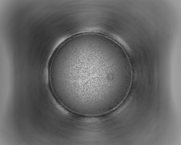 X0000111041079200907021553