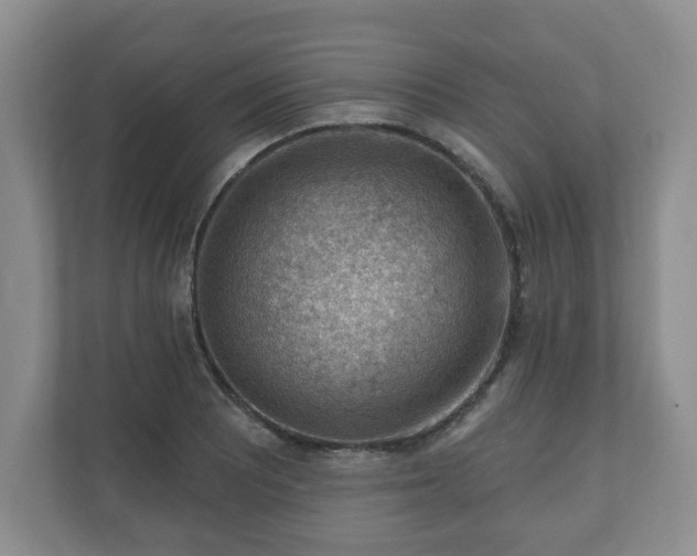 X0000111041081200907021553