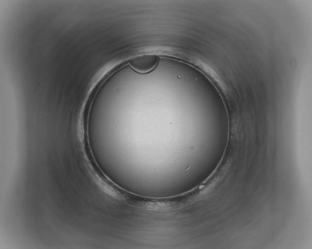 X0000111041082200907021553
