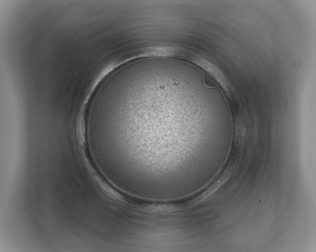 X0000111041083200907021553