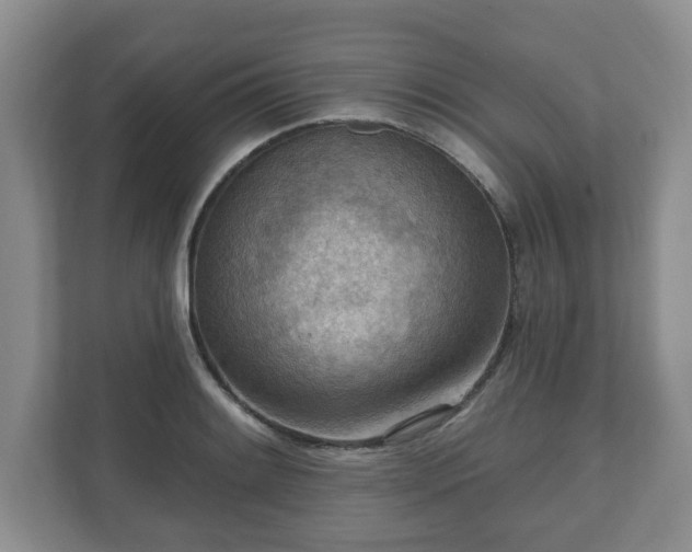 X0000111041084200907021553