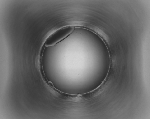 X0000111041085200907021553