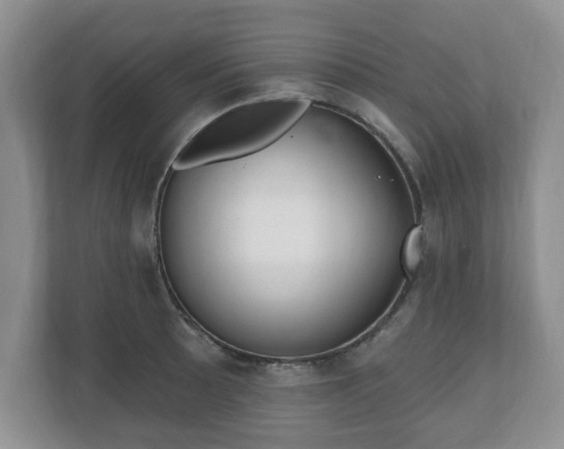 X0000111041089200907021553