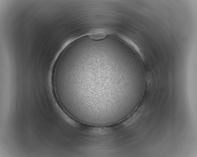 X0000111041091200907021553