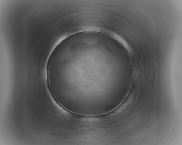 X0000111041095200907021553