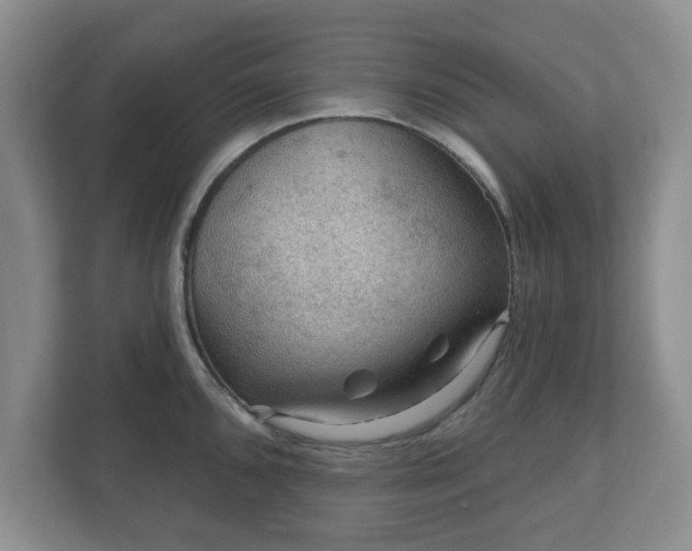 X0000111041096200907021553
