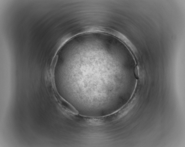 X0000111041097200907021553