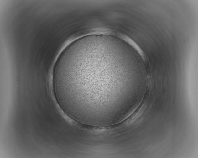 X0000111041099200907021553