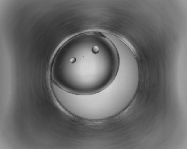 X0000111041100200907021553