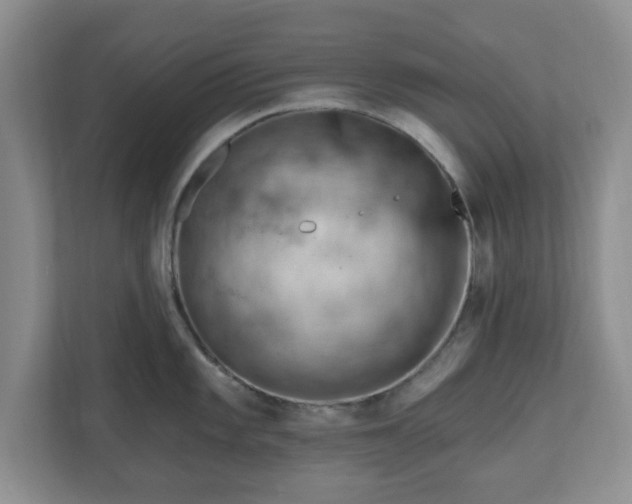 X0000111041101200907021553