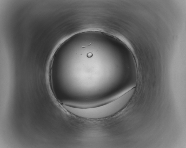 X0000111041104200907021553