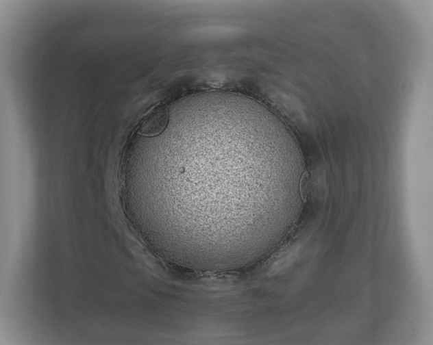 X0000111041105200907021552