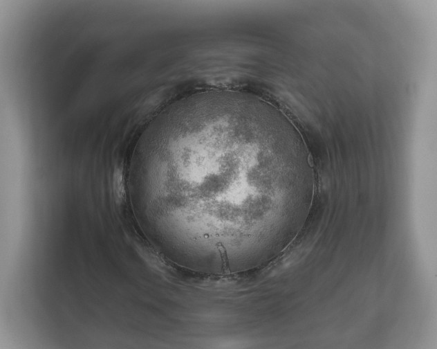 X0000111041106200907021552