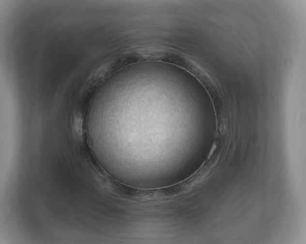 X0000111041108200907021552