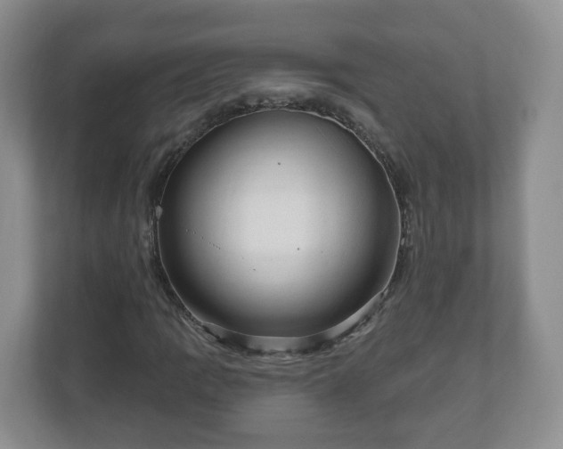 X0000111041109200907021552