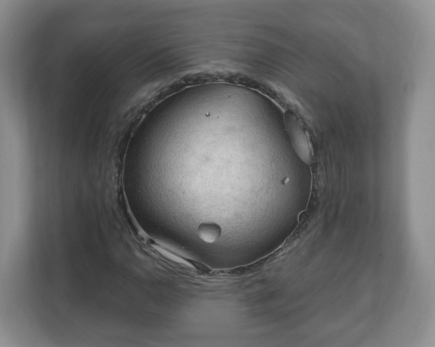 X0000111041110200907021553