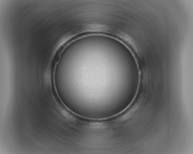 X0000111041114200907021553