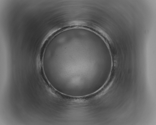 X0000111041117200907021553