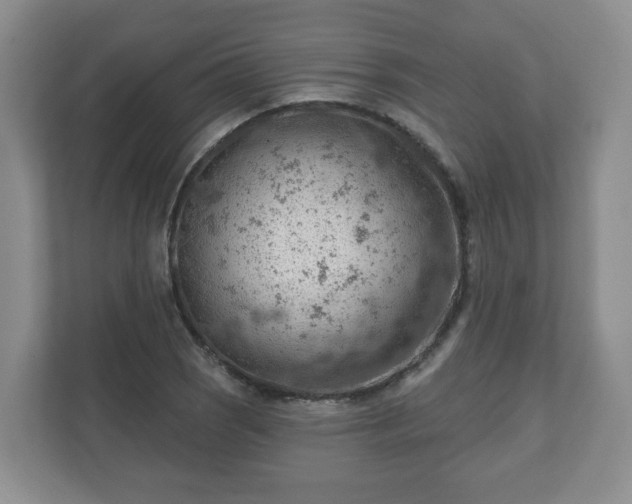 X0000111041121200907021553
