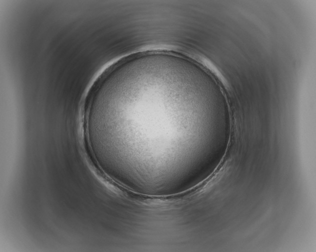 X0000111041124200907021553