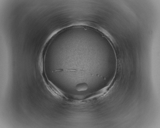 X0000111041127200907021553