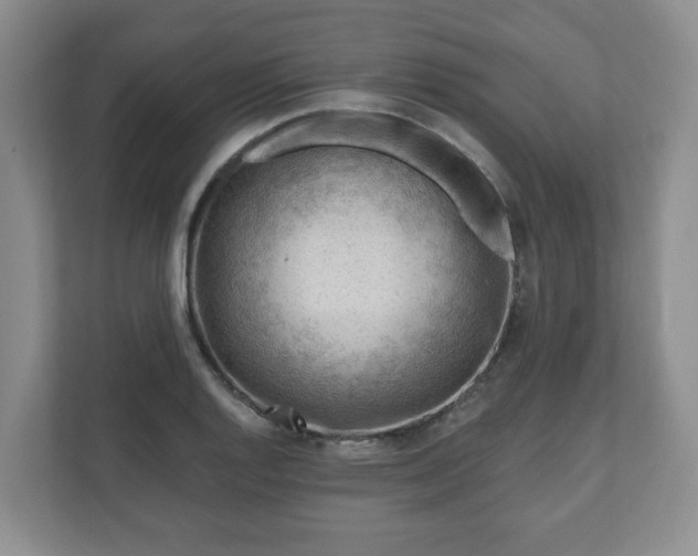 X0000111041128200907021553