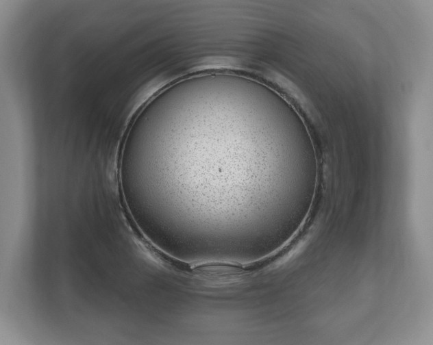 X0000111041129200907021553