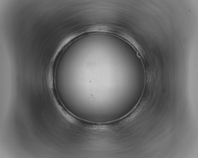 X0000111041131200907021553