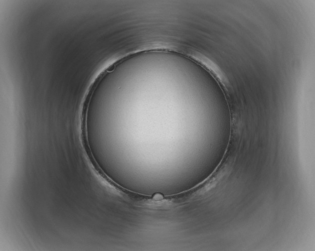 X0000111041135200907021553