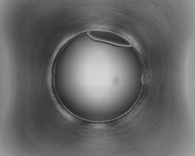 X0000111041136200907021553