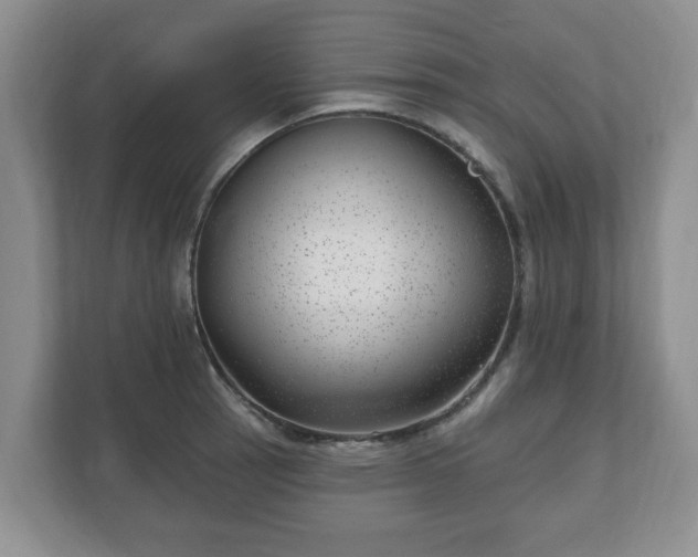 X0000111041137200907021553