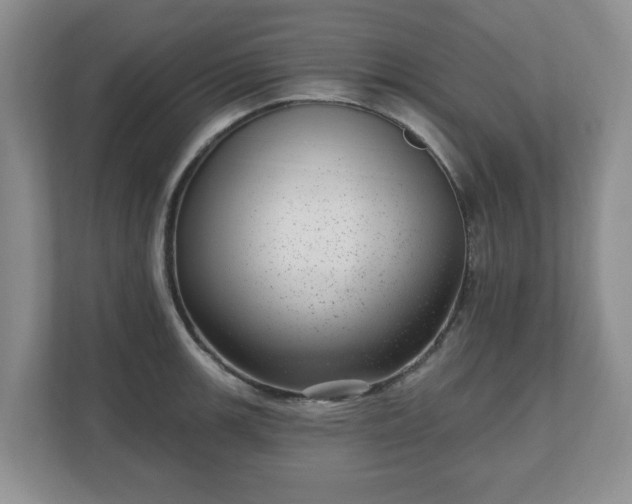 X0000111041139200907021553