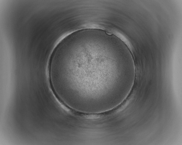 X0000111041141200907021553