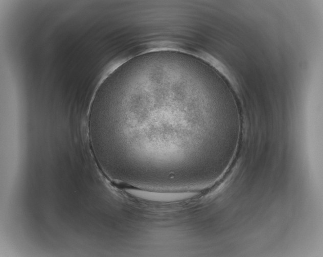 X0000111041145200907021553