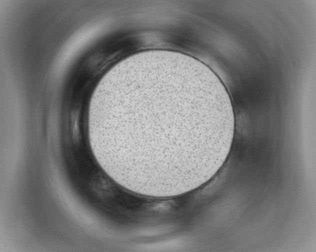 X0000111041150200907021553