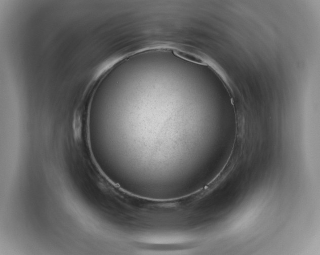 X0000111041151200907021553