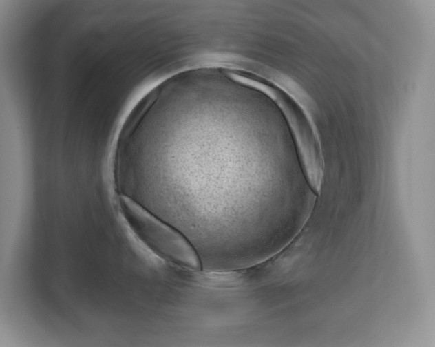 X0000111041152200907021553