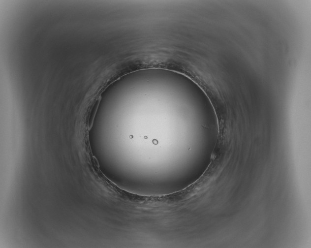 X0000111041153200907021552