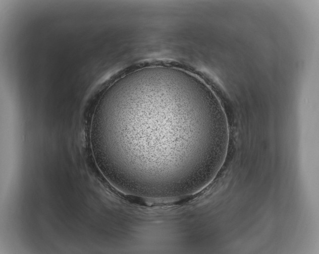 X0000111041159200907021552