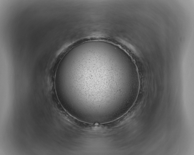 X0000111041160200907021552