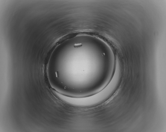 X0000111041161200907021552