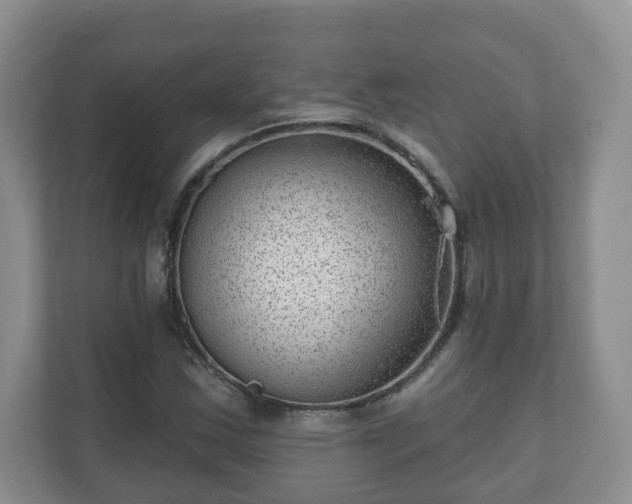 X0000111041163200907021552