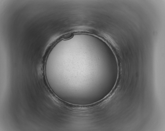 X0000111041164200907021552