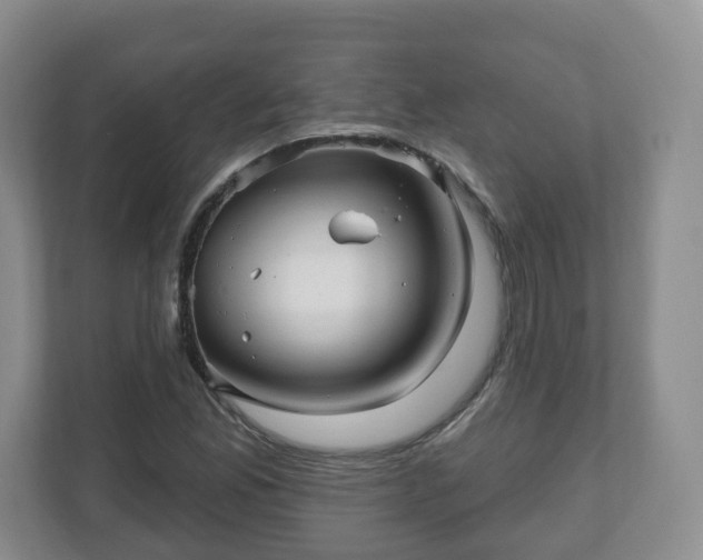X0000111041165200907021552