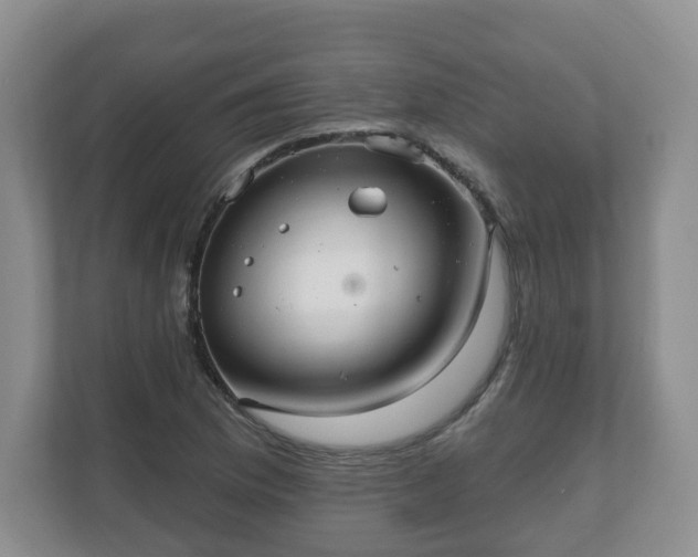 X0000111041169200907021552