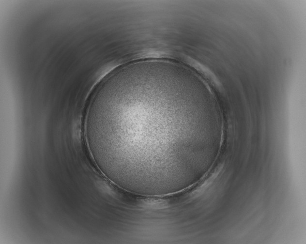 X0000111041170200907021552