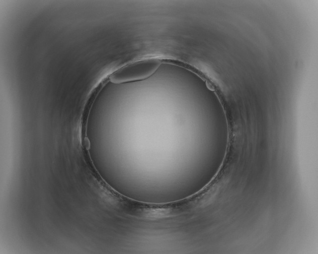 X0000111041173200907021552